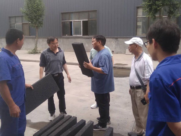 中国建科院王武祥教授莅临英国上市公司365考察-2-20230905031242